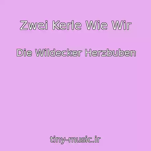کاور آهنگ Zwei Kerle Wie Wir از Die Wildecker Herzbuben