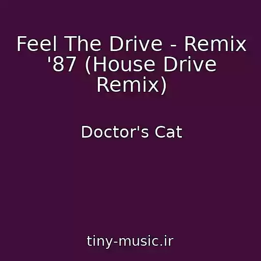 کاور آهنگ Feel The Drive - Remix '87 (House Drive Remix) از Doctor's Cat
