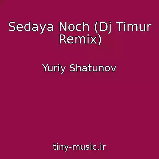 کاور آهنگ Sedaya Noch (Dj Timur Remix) از Yuriy Shatunov