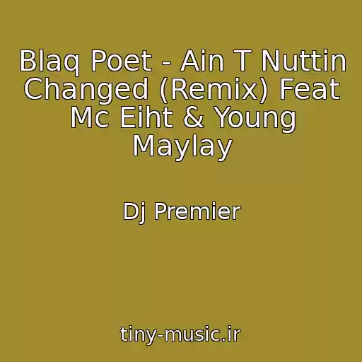 کاور آهنگ Blaq Poet - Ain T Nuttin Changed (Remix) Feat Mc Eiht & Young Maylay از Dj Premier