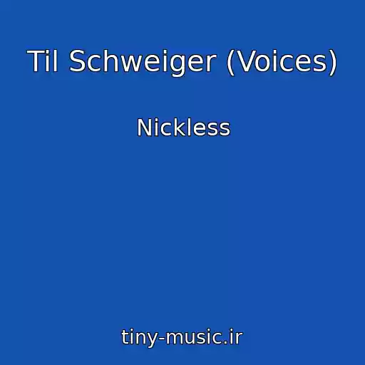 کاور آهنگ Til Schweiger (Voices) از Nickless