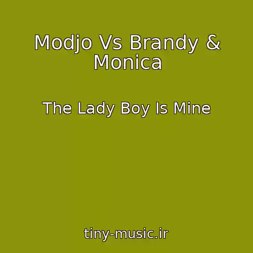 کاور آهنگ Modjo Vs Brandy & Monica از The Lady Boy Is Mine