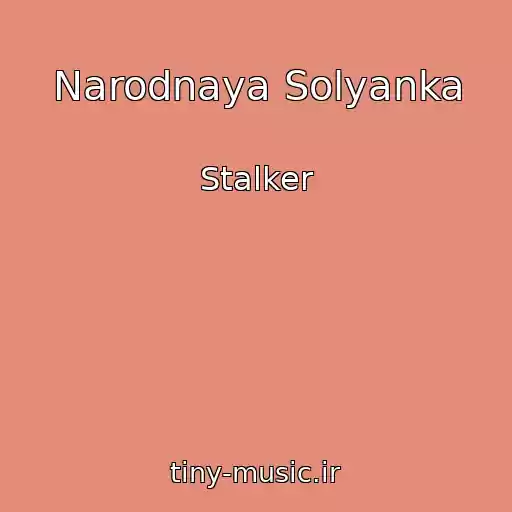 کاور آهنگ Narodnaya Solyanka از Stalker