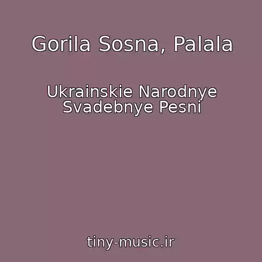 کاور آهنگ Gorila Sosna, Palala از Ukrainskie Narodnye Svadebnye Pesni