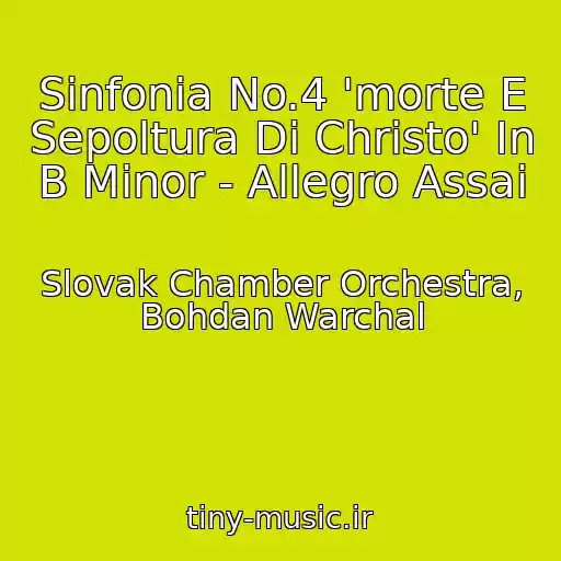 کاور آهنگ Sinfonia No.4 'morte E Sepoltura Di Christo' In B Minor - Allegro Assai از Slovak Chamber Orchestra, Bohdan Warchal