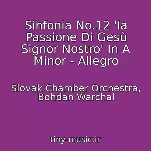 کاور آهنگ Sinfonia No.12 'la Passione Di Gesù Signor Nostro' In A Minor - Allegro از Slovak Chamber Orchestra, Bohdan Warchal