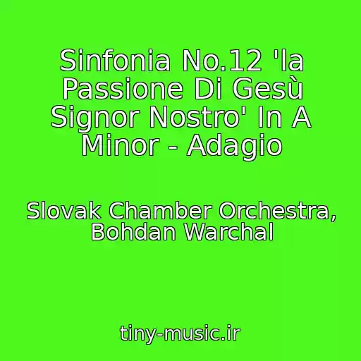 کاور آهنگ Sinfonia No.12 'la Passione Di Gesù Signor Nostro' In A Minor - Adagio از Slovak Chamber Orchestra, Bohdan Warchal