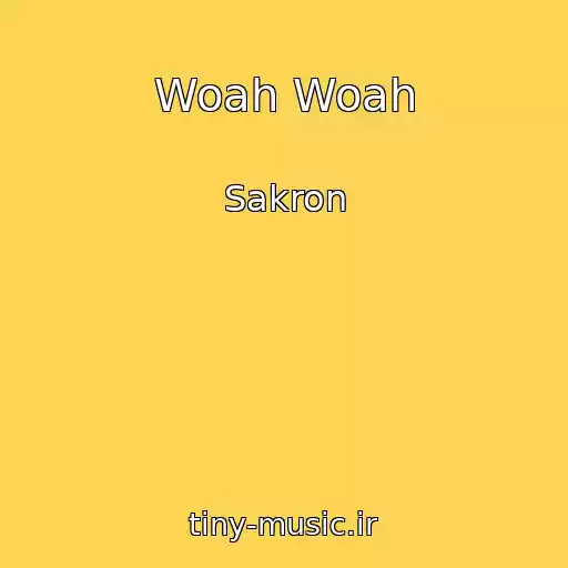 کاور آهنگ Woah Woah از Sakron