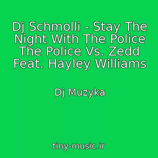 کاور آهنگ Dj Schmolli - Stay The Night With The Police The Police Vs. Zedd Feat. Hayley Williams از Dj Muzyka