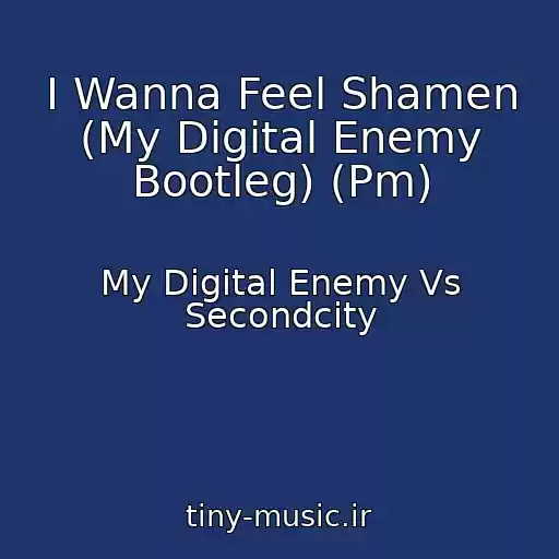 کاور آهنگ I Wanna Feel Shamen (My Digital Enemy Bootleg) (Pm) از My Digital Enemy Vs Secondcity