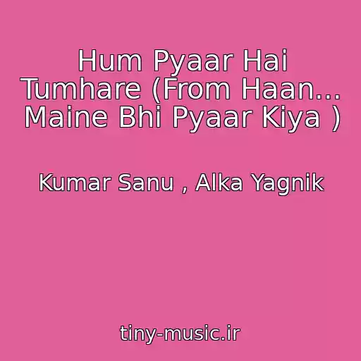 کاور آهنگ Hum Pyaar Hai Tumhare (From Haan... Maine Bhi Pyaar Kiya ) از Kumar Sanu , Alka Yagnik