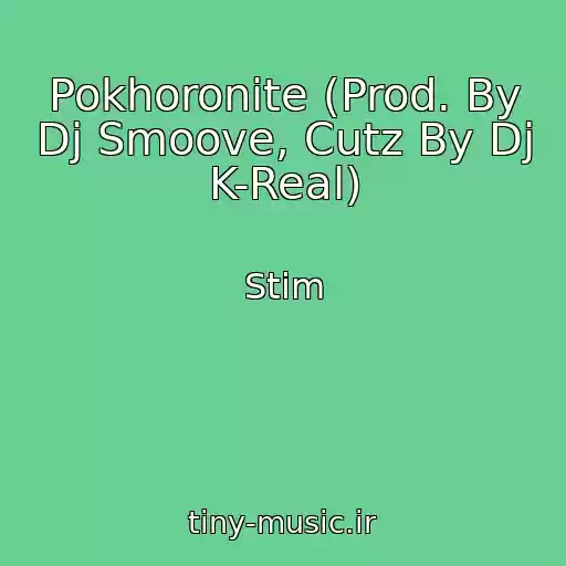 کاور آهنگ Pokhoronite (Prod. By Dj Smoove, Cutz By Dj K-Real) از Stim