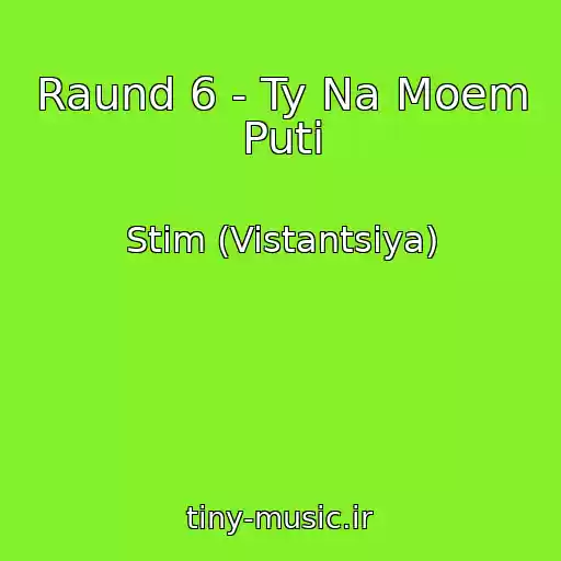 کاور آهنگ Raund 6 - Ty Na Moem Puti از Stim (Vistantsiya)