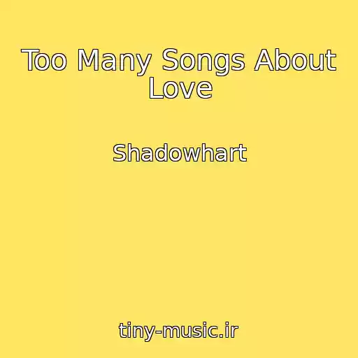 کاور آهنگ Too Many Songs About Love از Shadowhart