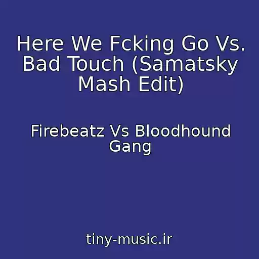 کاور آهنگ Here We Fcking Go Vs. Bad Touch (Samatsky Mash Edit) از Firebeatz Vs Bloodhound Gang
