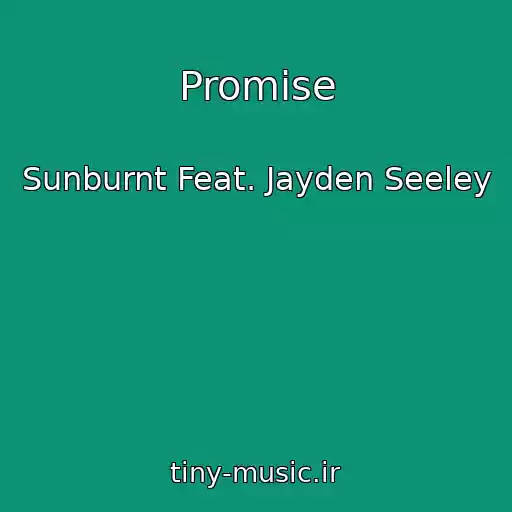 کاور آهنگ Promise از Sunburnt Feat. Jayden Seeley