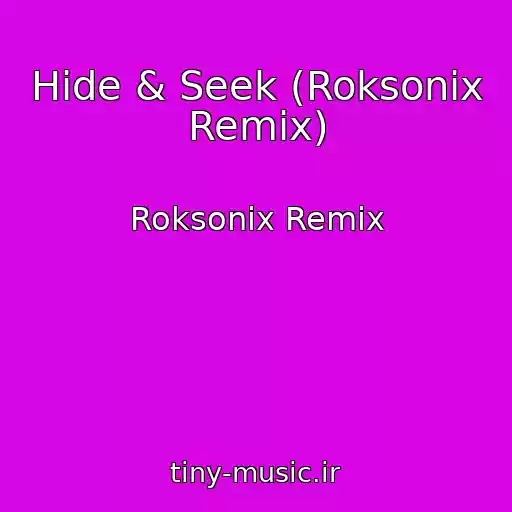 کاور آهنگ Hide & Seek (Roksonix Remix) از Roksonix Remix