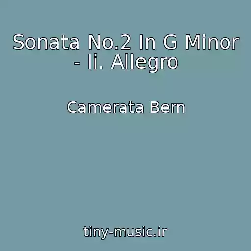 کاور آهنگ Sonata No.2 In G Minor - Ii. Allegro از Camerata Bern