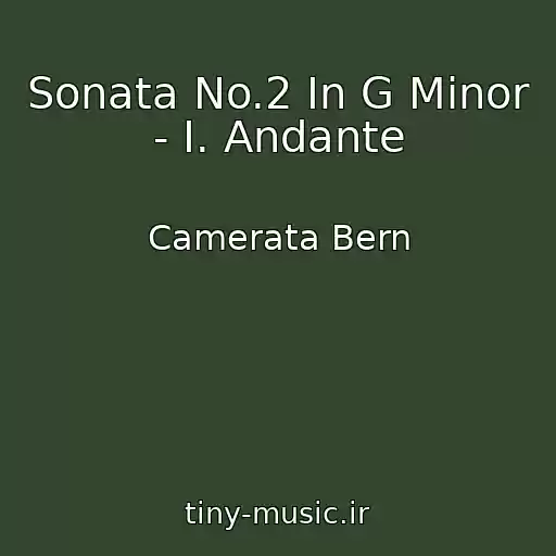 کاور آهنگ Sonata No.2 In G Minor - I. Andante از Camerata Bern