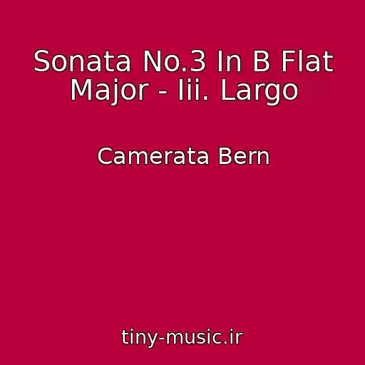 کاور آهنگ Sonata No.3 In B Flat Major - Iii. Largo از Camerata Bern