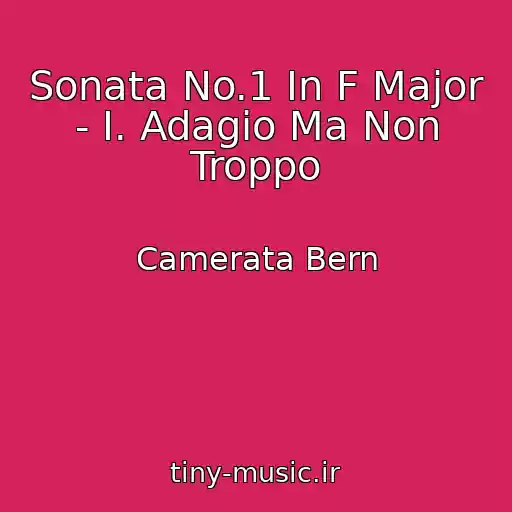 کاور آهنگ Sonata No.1 In F Major - I. Adagio Ma Non Troppo از Camerata Bern