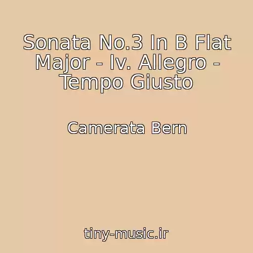 کاور آهنگ Sonata No.3 In B Flat Major - Iv. Allegro - Tempo Giusto از Camerata Bern
