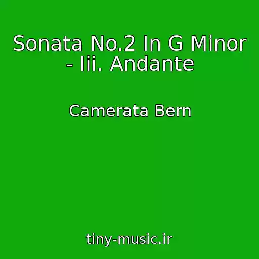 کاور آهنگ Sonata No.2 In G Minor - Iii. Andante از Camerata Bern