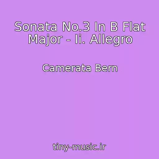 کاور آهنگ Sonata No.3 In B Flat Major - Ii. Allegro از Camerata Bern