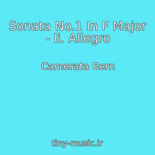 کاور آهنگ Sonata No.1 In F Major - Ii. Allegro از Camerata Bern