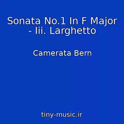 کاور آهنگ Sonata No.1 In F Major - Iii. Larghetto از Camerata Bern