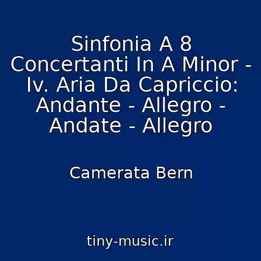 کاور آهنگ Sinfonia A 8 Concertanti In A Minor - Iv. Aria Da Capriccio: Andante - Allegro - Andate - Allegro از Camerata Bern