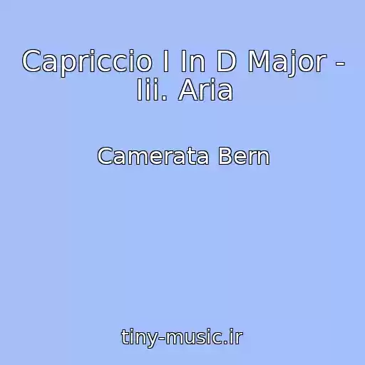 کاور آهنگ Capriccio I In D Major - Iii. Aria از Camerata Bern