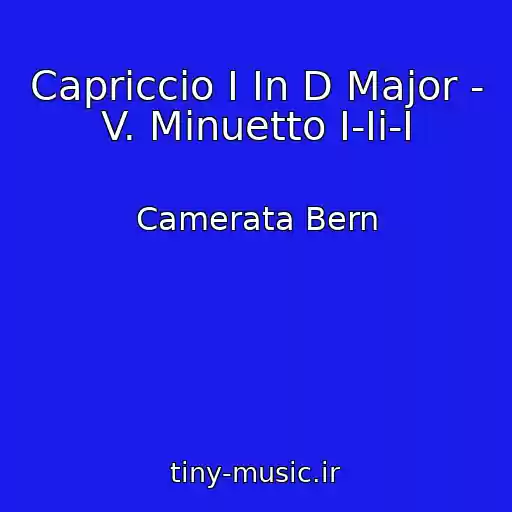 کاور آهنگ Capriccio I In D Major - V. Minuetto I-Ii-I از Camerata Bern