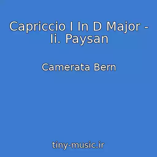 کاور آهنگ Capriccio I In D Major - Ii. Paysan از Camerata Bern