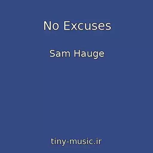 کاور آهنگ No Excuses از Sam Hauge