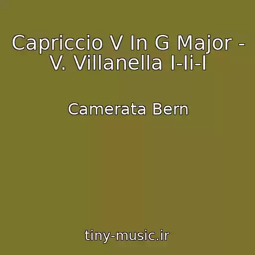 کاور آهنگ Capriccio V In G Major - V. Villanella I-Ii-I از Camerata Bern