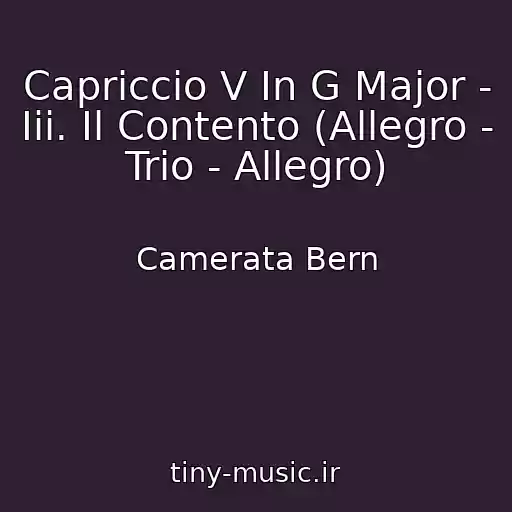 کاور آهنگ Capriccio V In G Major - Iii. Il Contento (Allegro - Trio - Allegro) از Camerata Bern