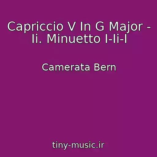 کاور آهنگ Capriccio V In G Major - Ii. Minuetto I-Ii-I از Camerata Bern