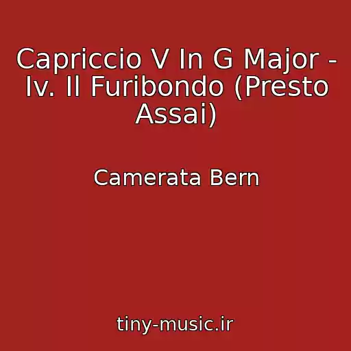 کاور آهنگ Capriccio V In G Major - Iv. Il Furibondo (Presto Assai) از Camerata Bern