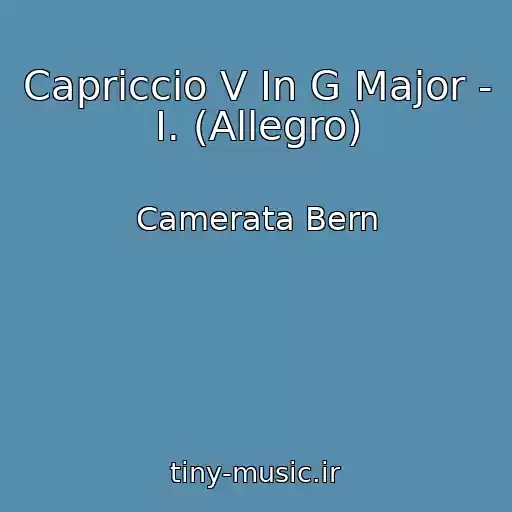 کاور آهنگ Capriccio V In G Major - I. (Allegro) از Camerata Bern
