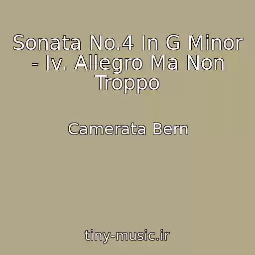 کاور آهنگ Sonata No.4 In G Minor - Iv. Allegro Ma Non Troppo از Camerata Bern