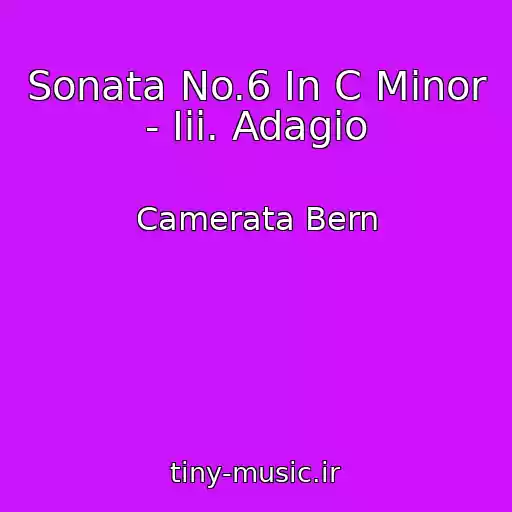 کاور آهنگ Sonata No.6 In C Minor - Iii. Adagio از Camerata Bern