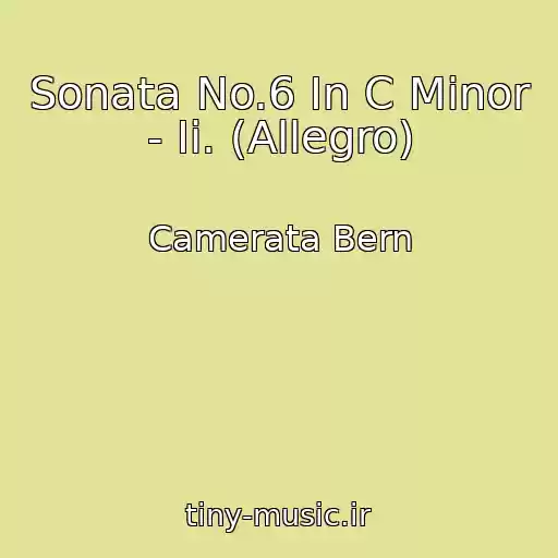 کاور آهنگ Sonata No.6 In C Minor - Ii. (Allegro) از Camerata Bern
