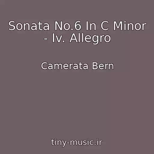 کاور آهنگ Sonata No.6 In C Minor - Iv. Allegro از Camerata Bern