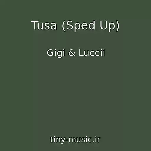 کاور آهنگ Tusa (Sped Up) از Gigi & Luccii