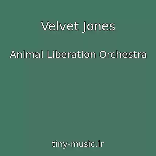 کاور آهنگ Velvet Jones از Animal Liberation Orchestra