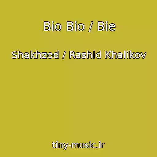 کاور آهنگ Bio Bio / Bie از Shakhzod / Rashid Khalikov