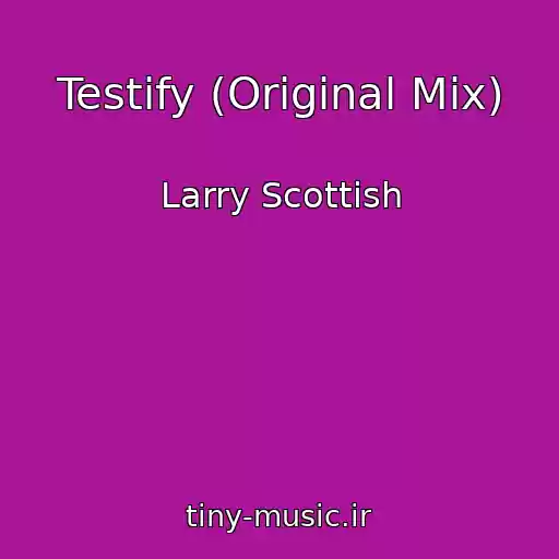 کاور آهنگ Testify (Original Mix) از Larry Scottish
