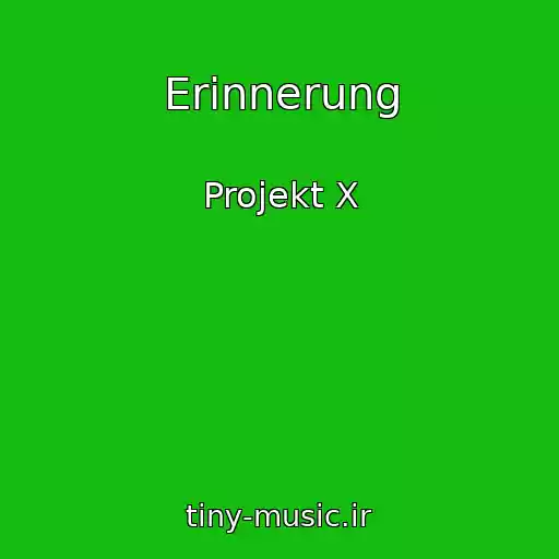 کاور آهنگ Erinnerung از Projekt X
