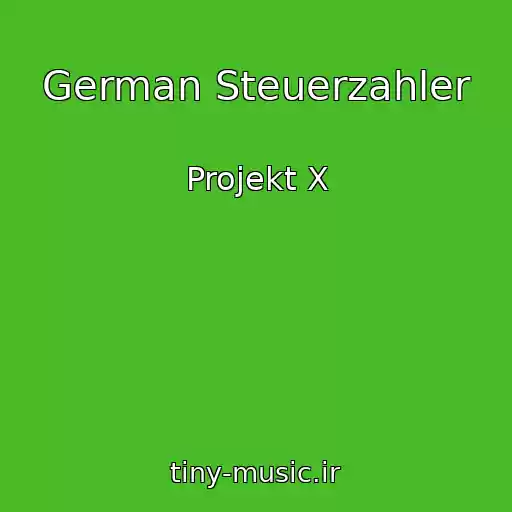 کاور آهنگ German Steuerzahler از Projekt X